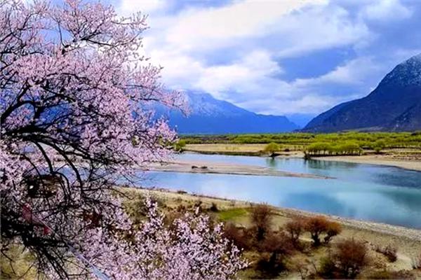 西藏赏花的地方有哪些 西藏最佳赏花地点推荐