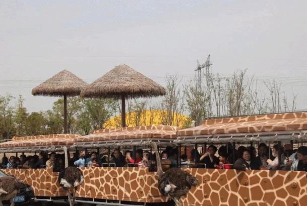 南通野生动物园旅游攻略 两日游玩行程安排