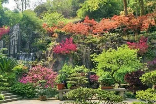 2022重庆南山植物园赏花攻略(附交通指南)