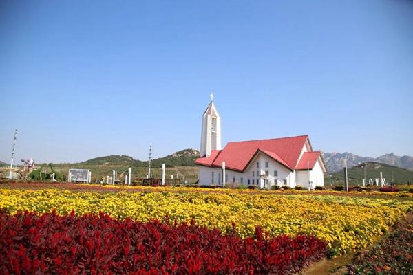 青岛西海岸十大赏花好去处 青岛西海岸赏花地推荐