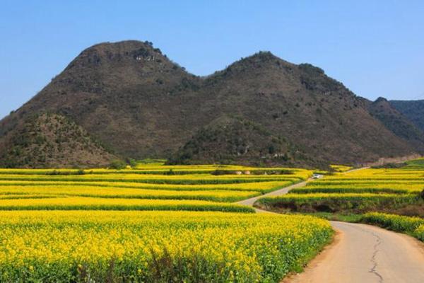 三月份去哪里旅游最好 三月旅游最强攻略