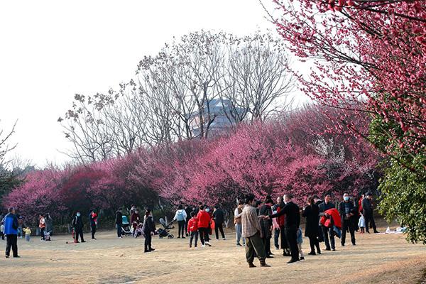 湖北黄冈春季赏花攻略