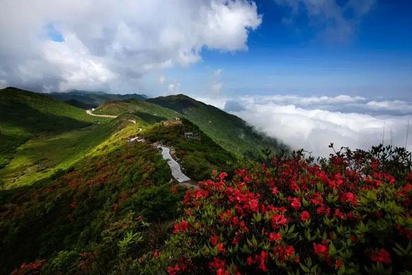 大围山森林公园在哪里 地址及交通指南