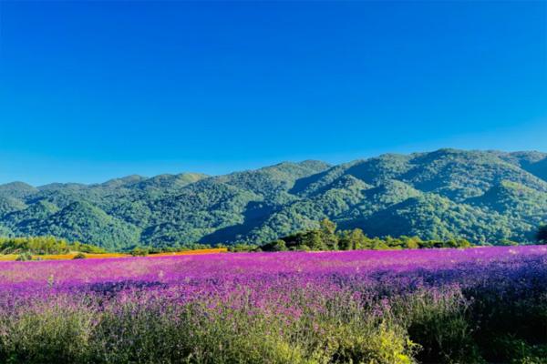 2022重庆五一去哪旅游最合适 重庆五一旅游最佳去处