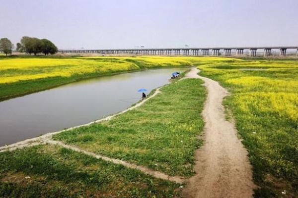 府河湿地露营怎么走