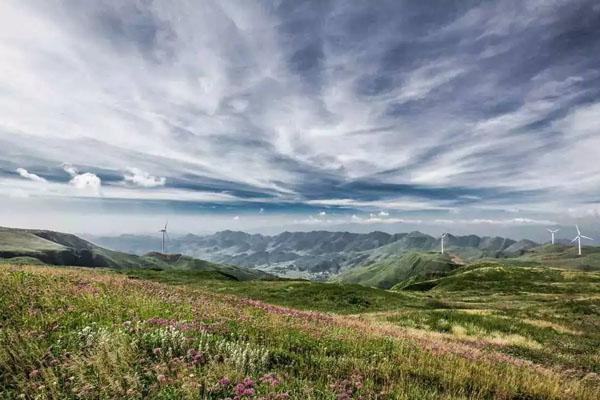 贵阳赏花旅游景点 风景好的赏花胜地