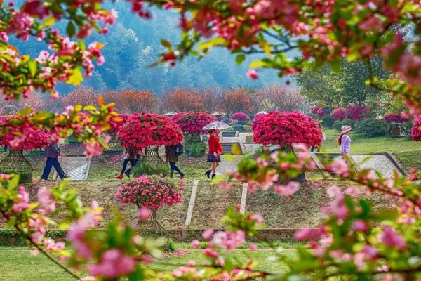 2022成都赏花景点推荐 成都赏花景点排名