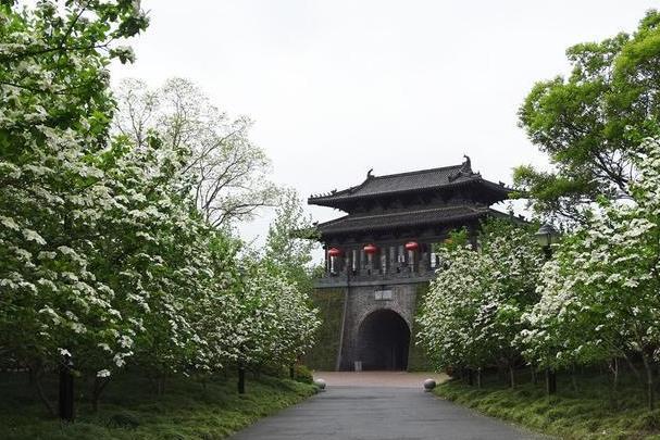 扬州看琼花的地方在哪里 有哪些