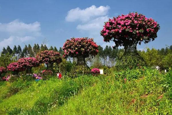 成都花舞人间在什么地方 地址及交通指南