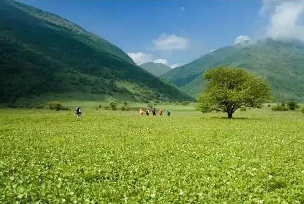 重庆有哪些草原可以去 小众草原景点