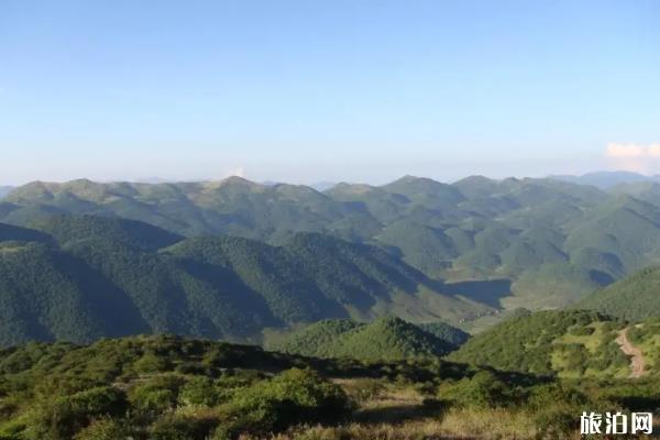 重庆海拔最高的地方和山峰是哪里