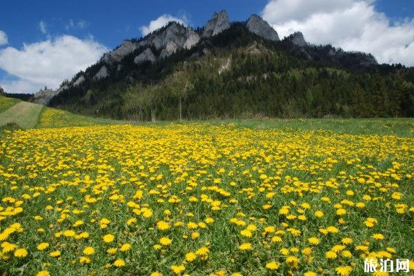 喀拉峻草原景点美图