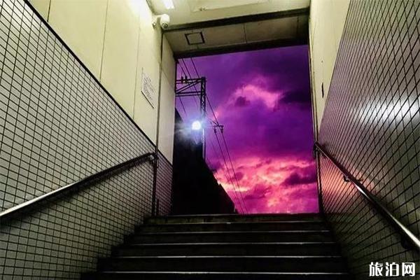日本海贝思台风前夕紫色天空