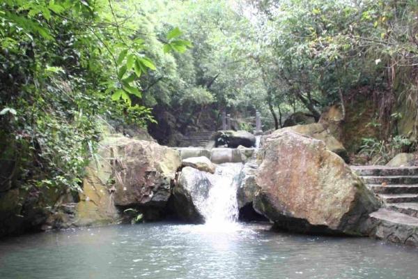 东莞大岭山森林公园门票多少钱 大岭山森林公园景点介绍