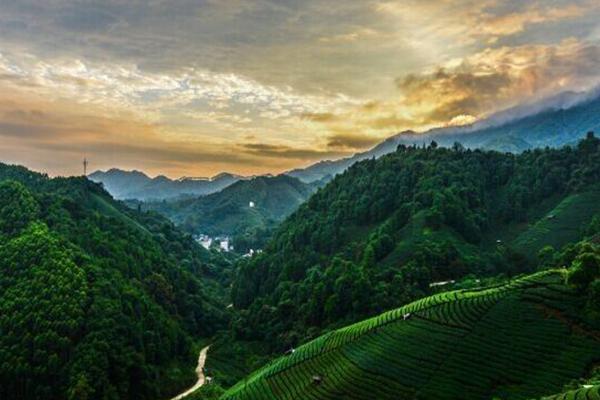 南山茶海旅游风景区怎么样 南山茶海门票价格