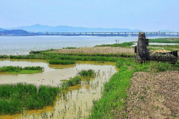 漩門灣國家溼地公園在哪裡-門票多少錢