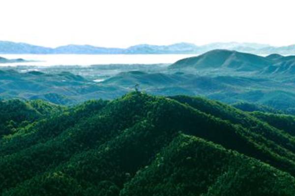 九龙山森林公园在哪里 门票多少钱