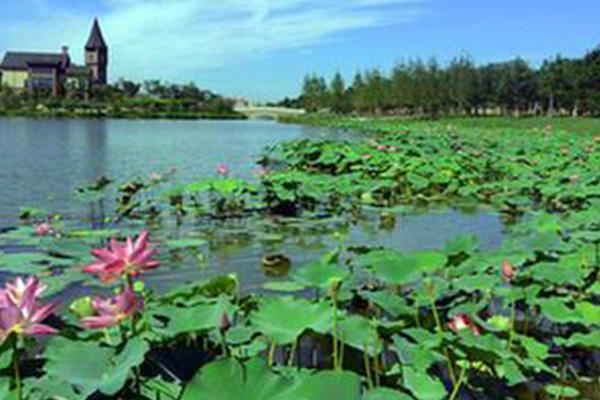 天津南湖公园需要门票吗-景点介绍