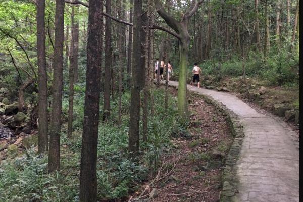 宁波九峰山门票景区介绍及游玩攻略