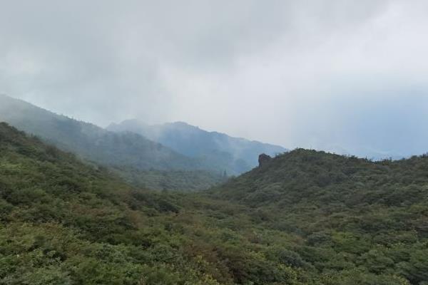 湖南大围山国家森林公园门票在哪里及游玩攻略