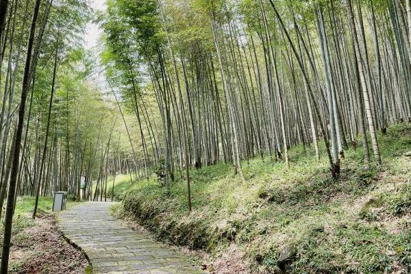 广东石门国家森林公园门票多少钱开放时间及地址