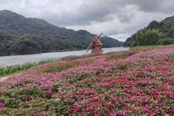 广东石门国家森林公园门票多少钱开放时间及地址