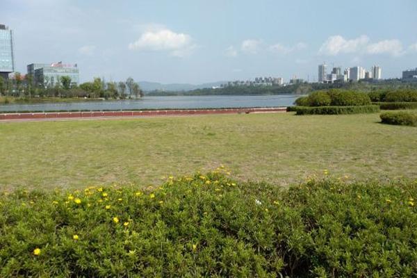 兴隆湖湿地公园在哪里门票交通及游玩攻略