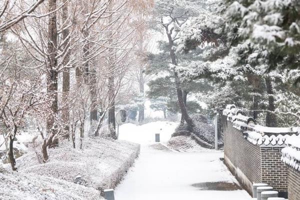 重庆仙女山国家森林公园门票多少钱一张及游玩攻略