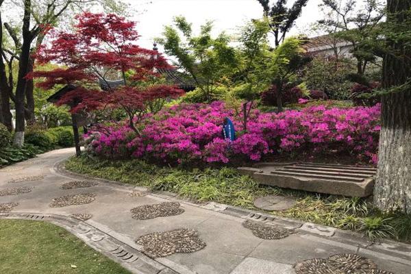 上海古藤园门票价格开放时间及游玩攻略