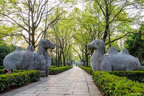 南京明孝陵门票价格及游玩攻略