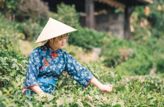 茶语温泉门票价格及游玩攻略