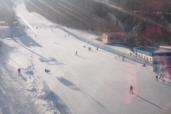 冬季哈尔滨最适合滑雪游玩的地方推荐 国内知名的滑雪场就在附近