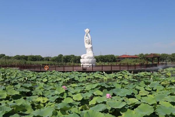 荷塘月色湿地公园什么时候去最好及游玩攻略