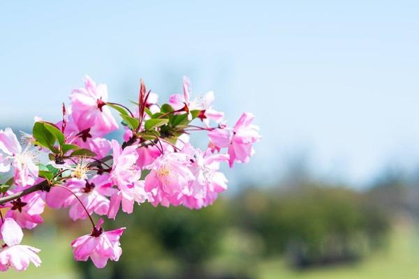 无锡九龙湾花彩小镇买门票地址-游玩攻略