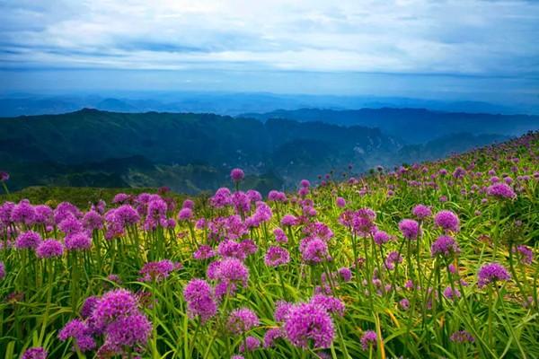 大韭菜坪最佳旅游时间-景区介绍