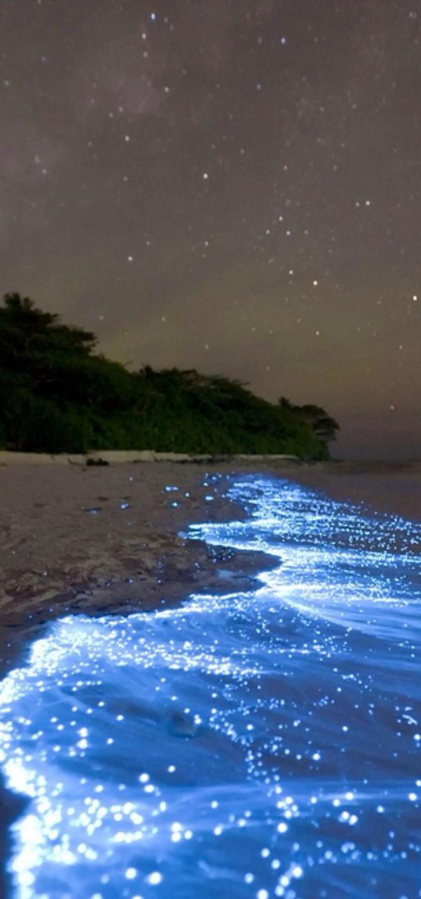 浙江北麂岛繁星入海奇景在哪看?蓝眼泪几月份会出现?