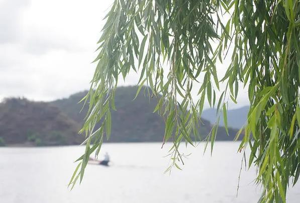 天津端午节风俗有哪些