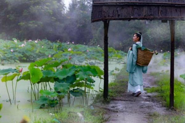 都江堰荷花观赏地推荐