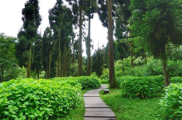 成都天台山避暑怎么样 凉快吗