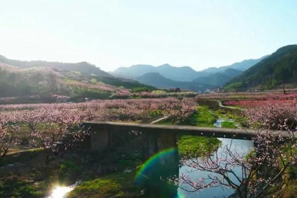 四川桃花坞在哪里?桃花坞是什么意思?