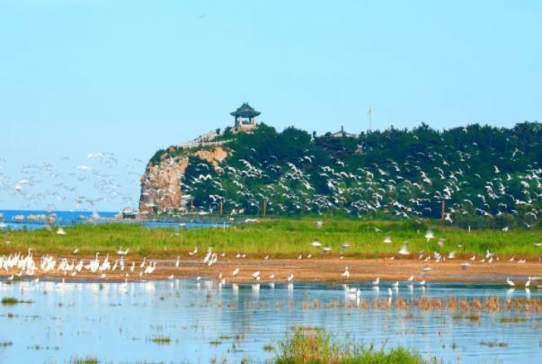 国内海滨城市旅游最好的地方