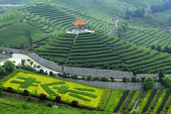 台州夏天哪里旅游最好凉快