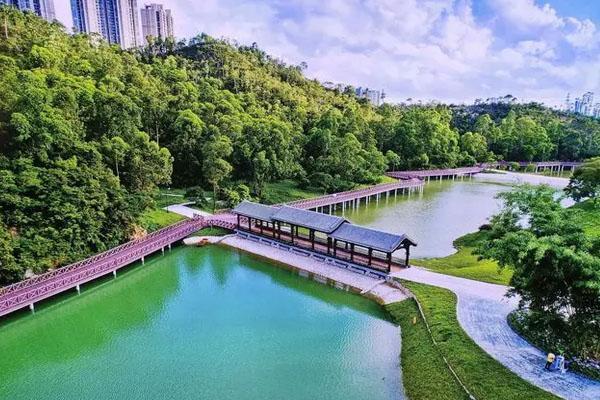 台州夏天哪里旅游最好凉快