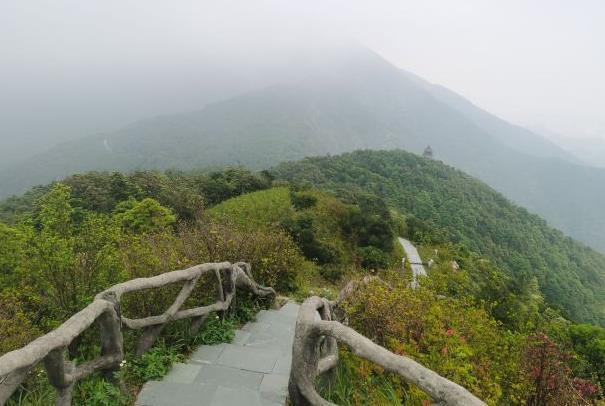 深圳梧桐山登山路线攻略