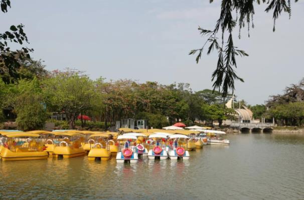 深圳的水上乐园哪个好玩一点
