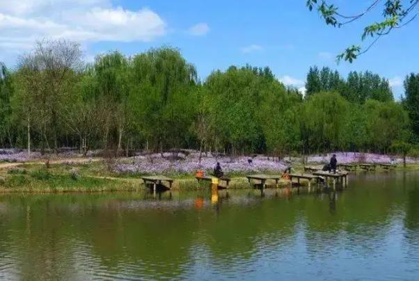 北京免费湿地公园有哪些地方