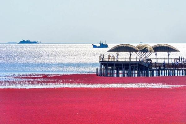 盘锦红海滩门票多少钱2022