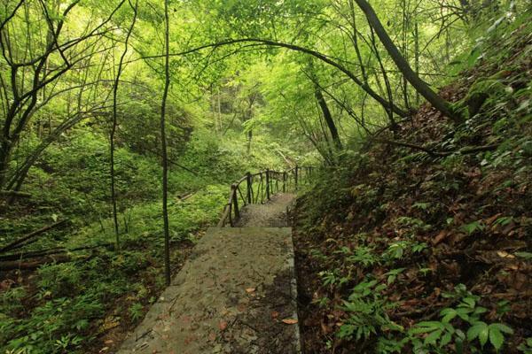 湖北宜昌旅游十大必去景点