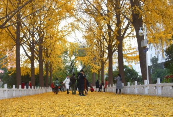 郑州秋季旅游景点推荐