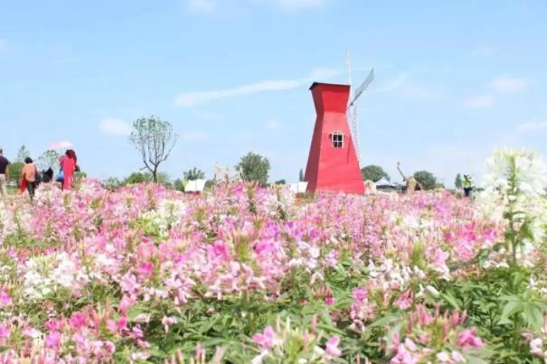 宜昌秋季旅游景点推荐 有哪些好玩的地方